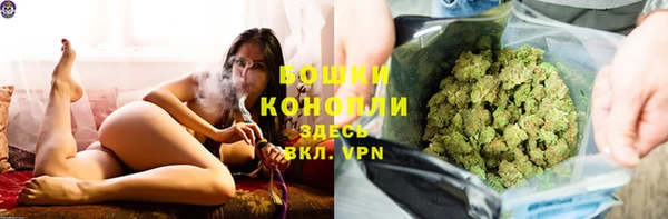 крисы Надым