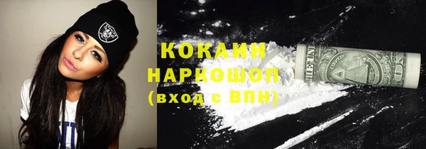 крисы Надым