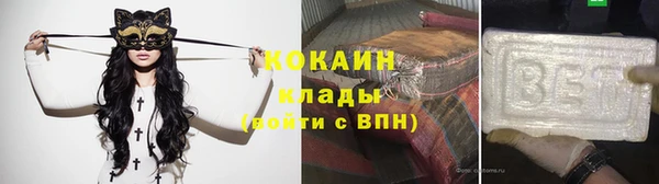 крисы Надым