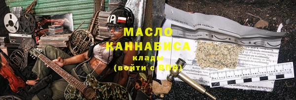 крисы Надым