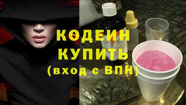 крисы Надым