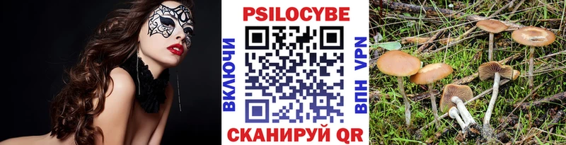 Псилоцибиновые грибы Psilocybe гидра ссылка Агидель